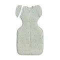 Love To Dream Swaddle Up™ Transition Bag - 2.5T