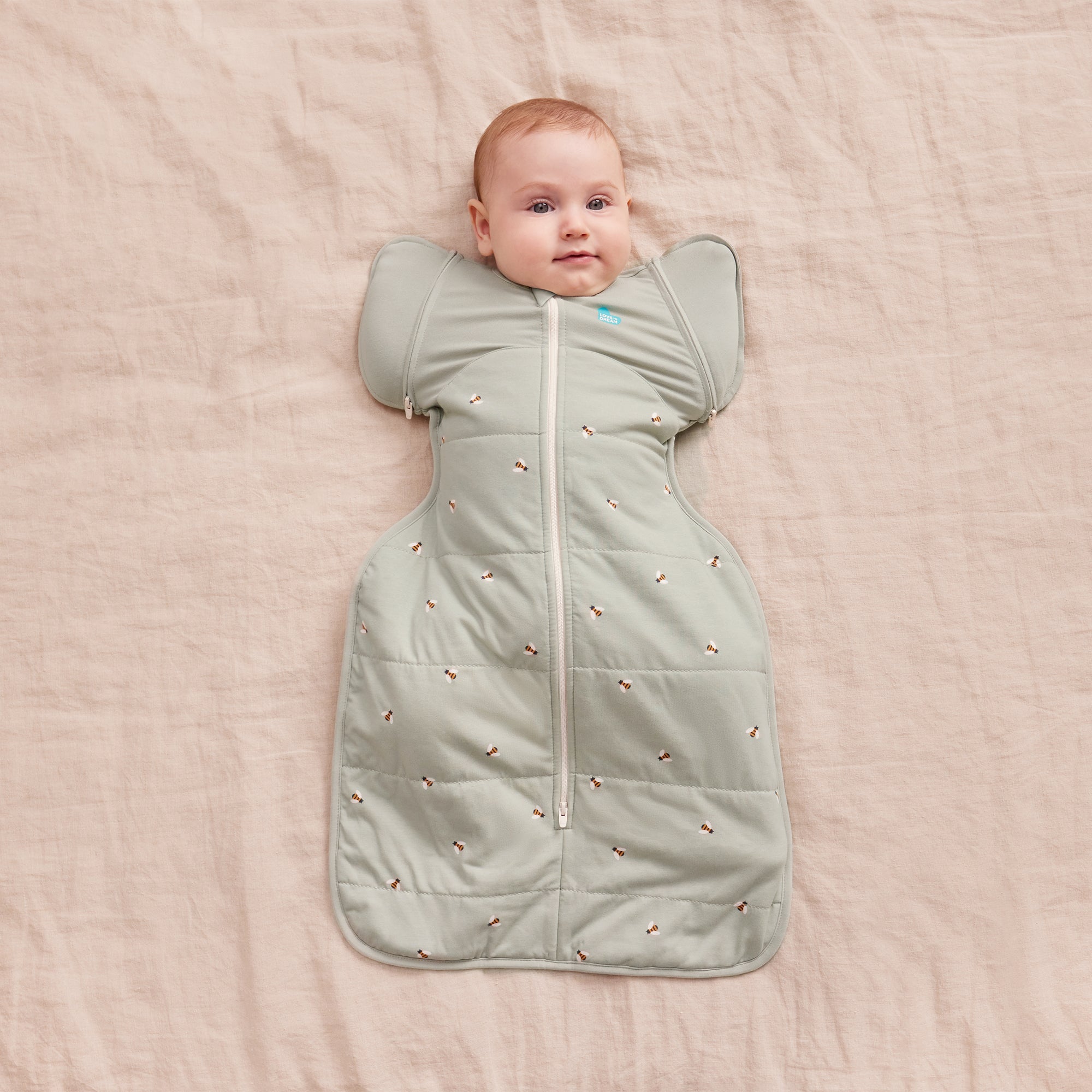 Love To Dream Swaddle Up™ Transition Bag - 2.5T