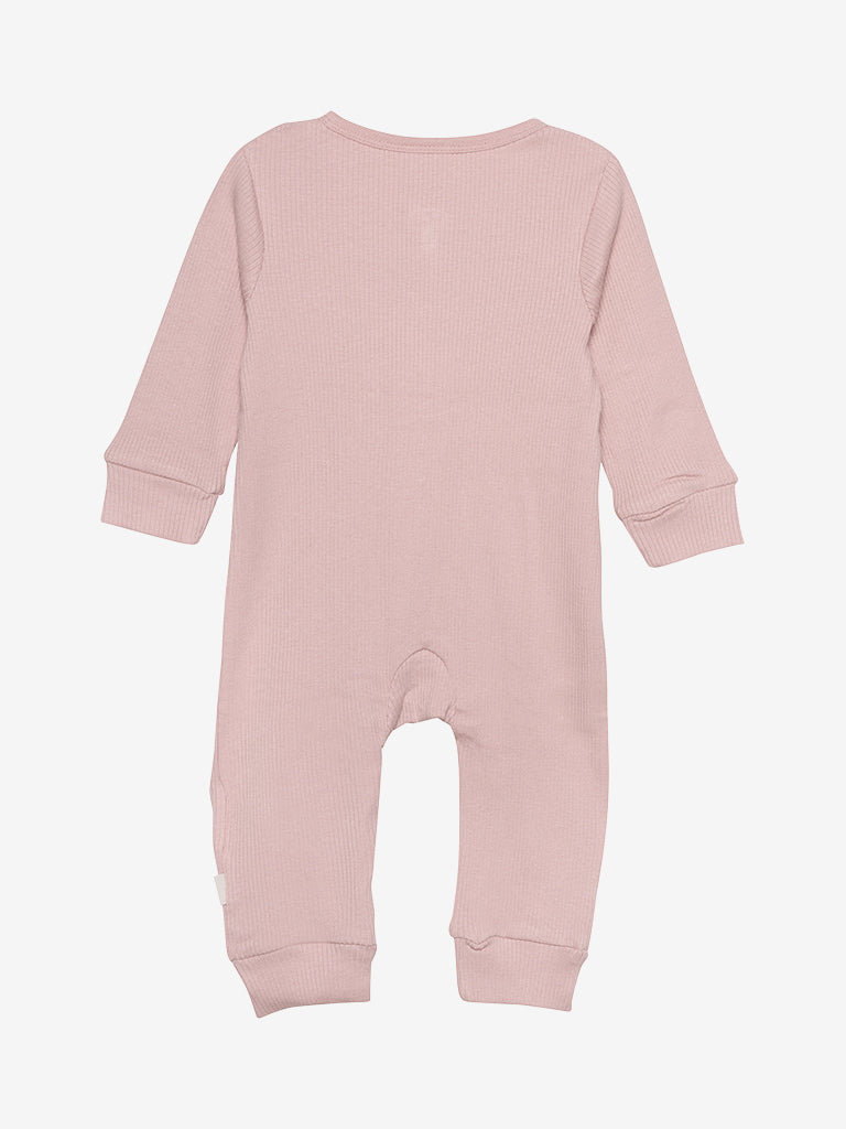 Rib heilgalli - Misty Rose